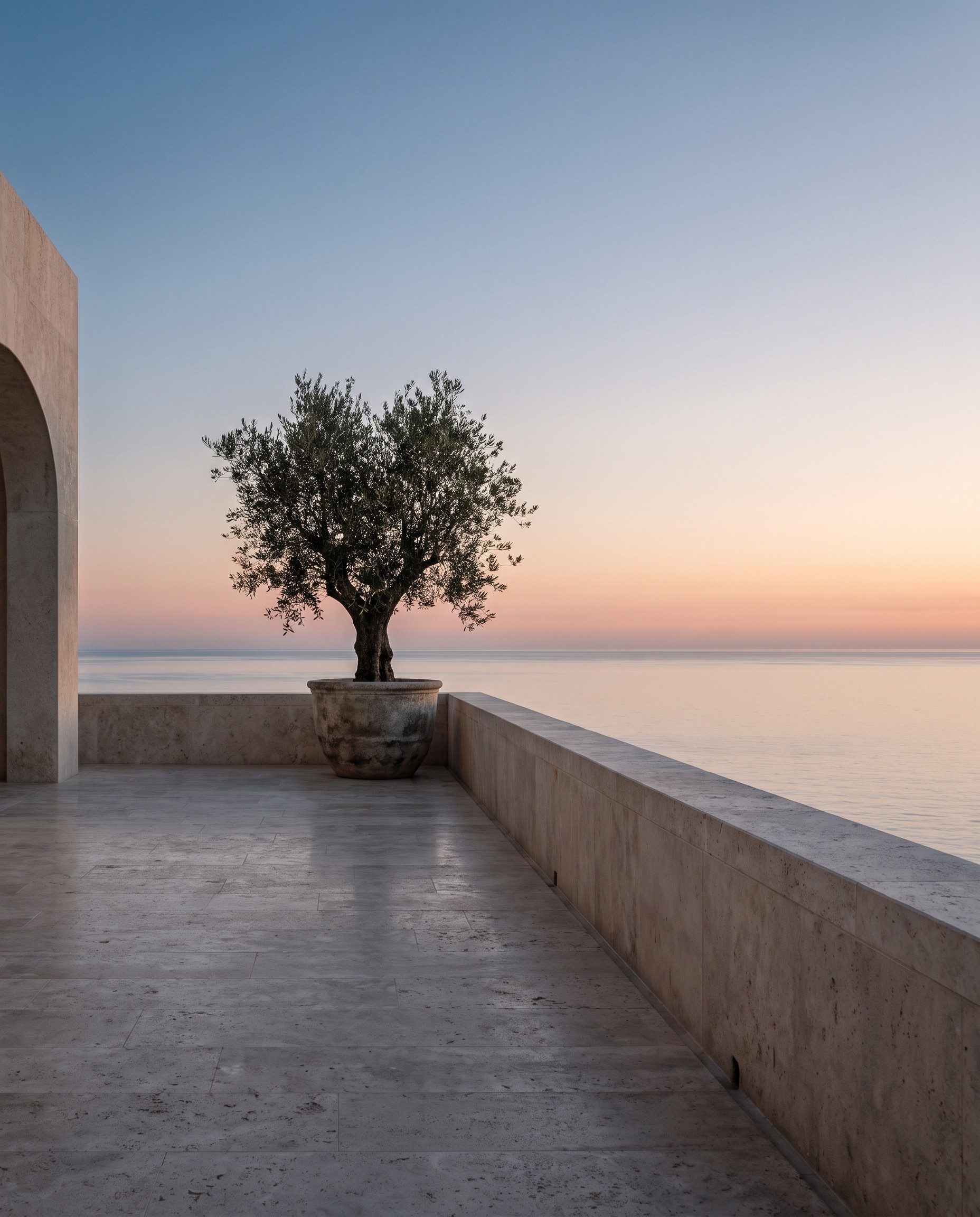 A stone terrace above the sea at first light, a potted olive tree against a pale sky.